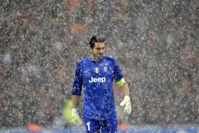 九游登录入口-法国举办篮球文化交流活动，法国举办篮球文化交流活动的意义