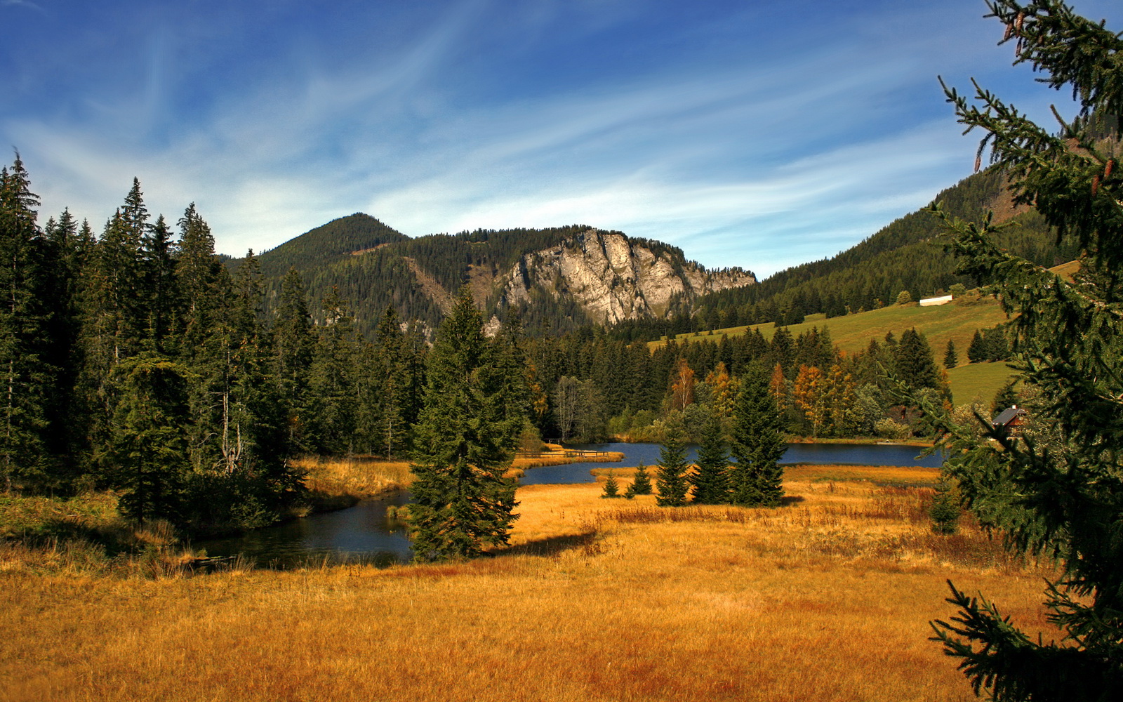 九游体育在线-乌拉圭队在世界杯预选赛中连续取得胜利，士气高涨，乌拉圭世界杯名单公布