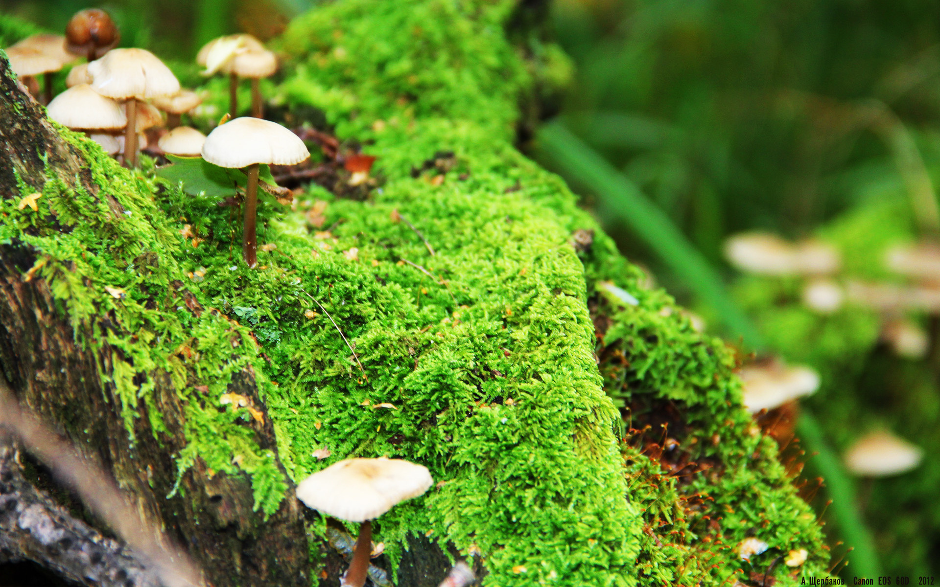 9体育-中超联赛球队战术打法多样化，2021中超联赛怎么打