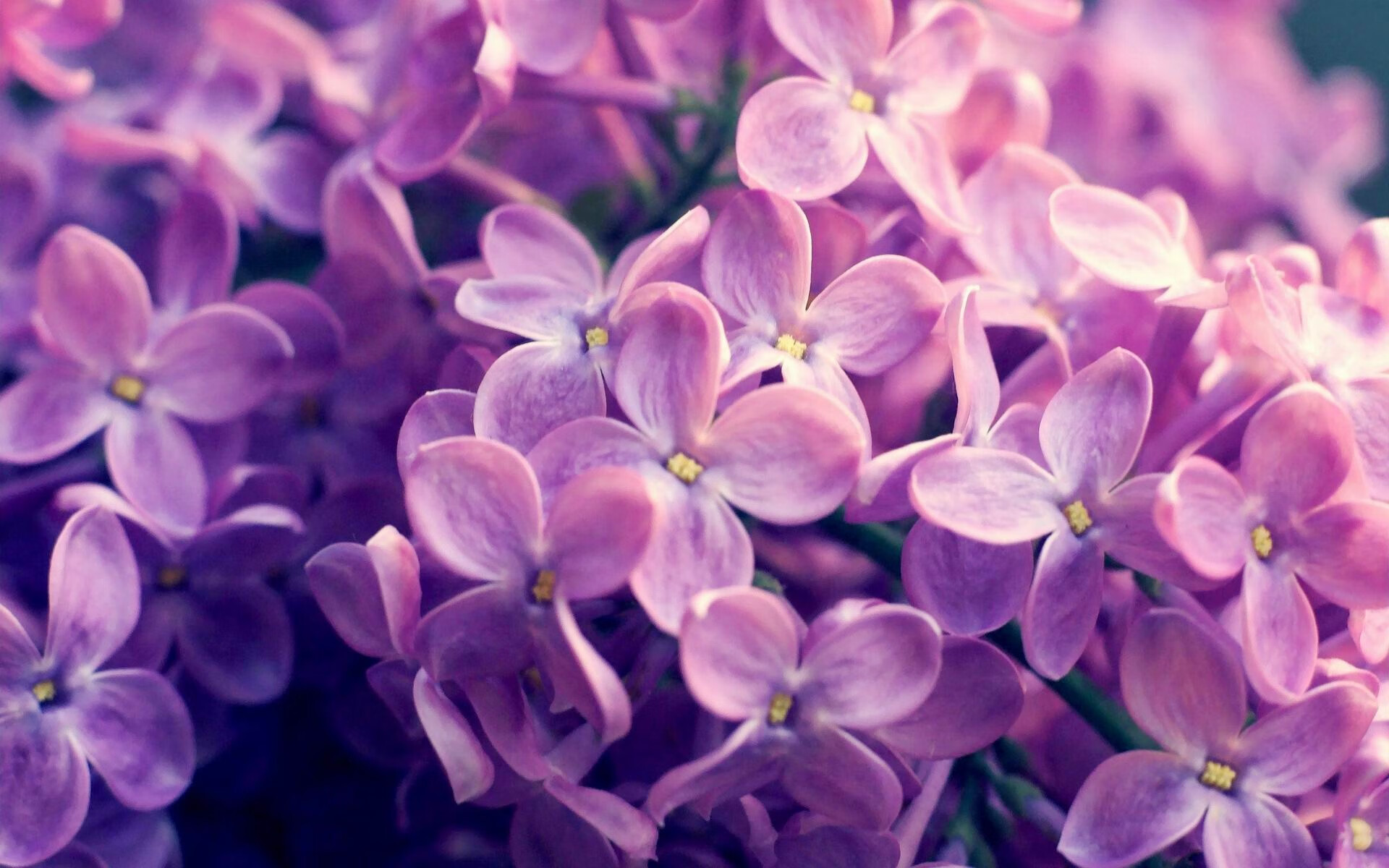 jiuyou-巴黎奥运足球:法国男足失意出局,法国男足奥运成绩