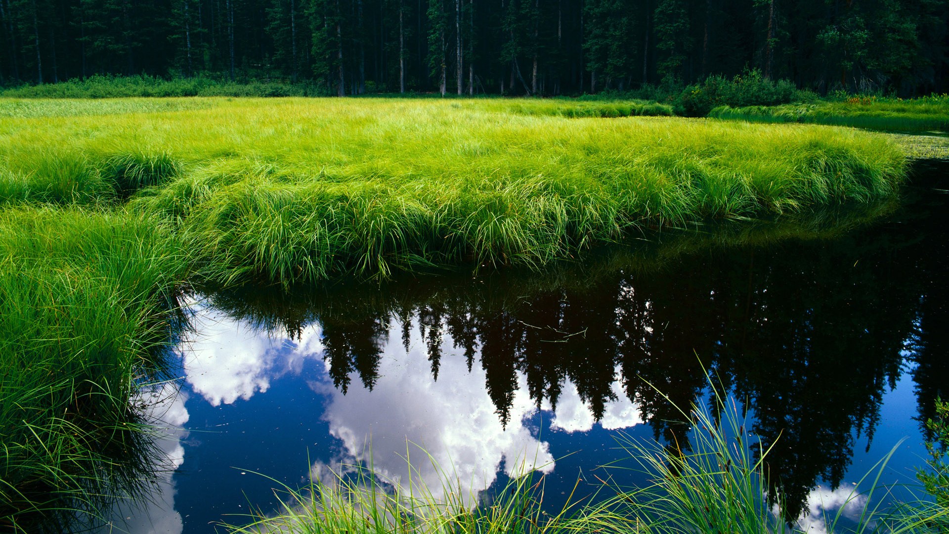 九游娱乐网页版-揭秘篮球替补阵容价值，篮球替补球员