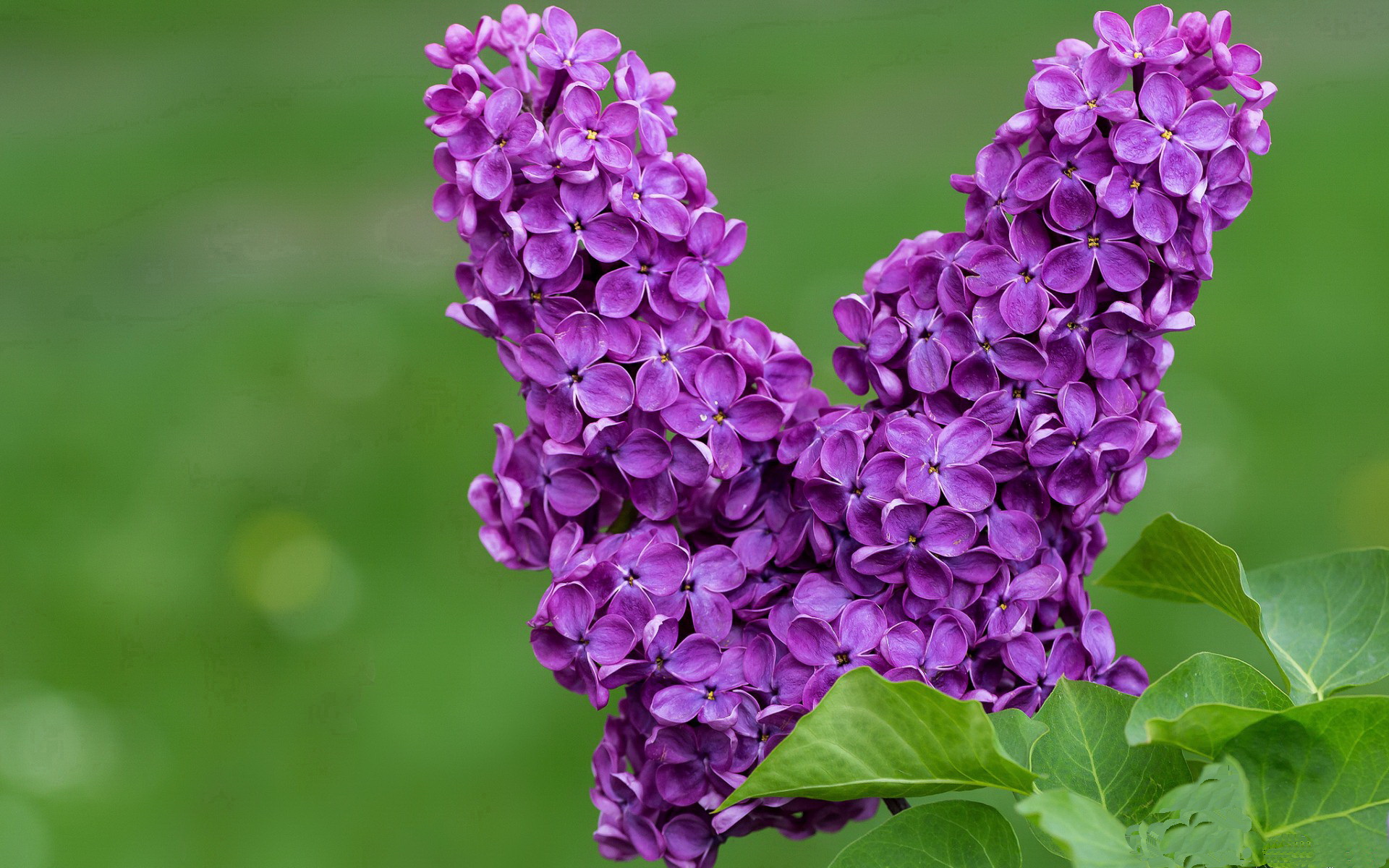 九游体育官网-皇家马德里在伊斯坦布尔取得胜利，皇家马德里最辉煌时期