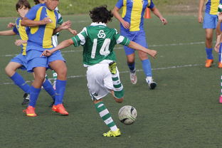 九游体育直播-中国足球高密度传控战术回合成功统计，中国足球高密度传控战术回合成功统计