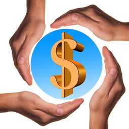 九游游戏-体育教学中增强现实与虚拟现实融合应用，结合教学实践谈谈示范在体育教学中的运用