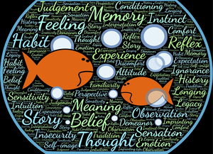 jiuyou-法甲实际战术板使用率与胜率关系初步调查，法国套战术板