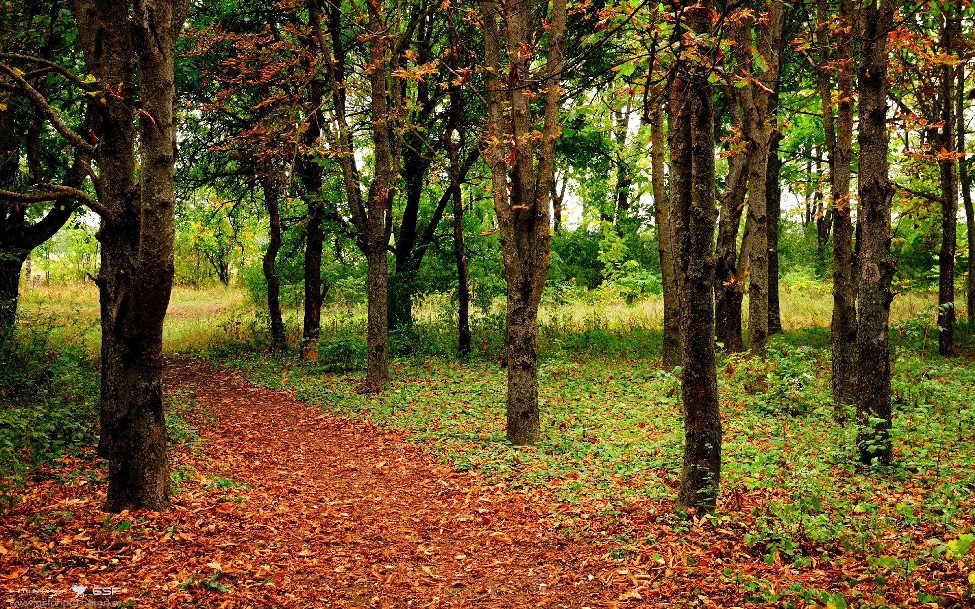 九游娱乐网页版-CBA联盟发起篮球主题短片计划提升文化影响力，cba短视频