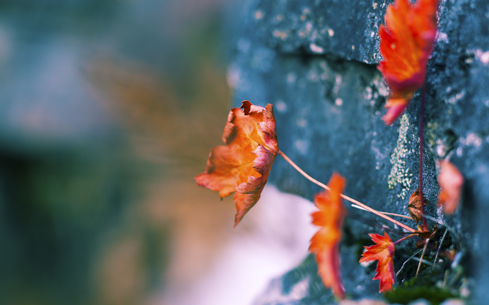 J9九游会-奥预赛中国队战胜 球员表现稳定提升，奥预赛赛程