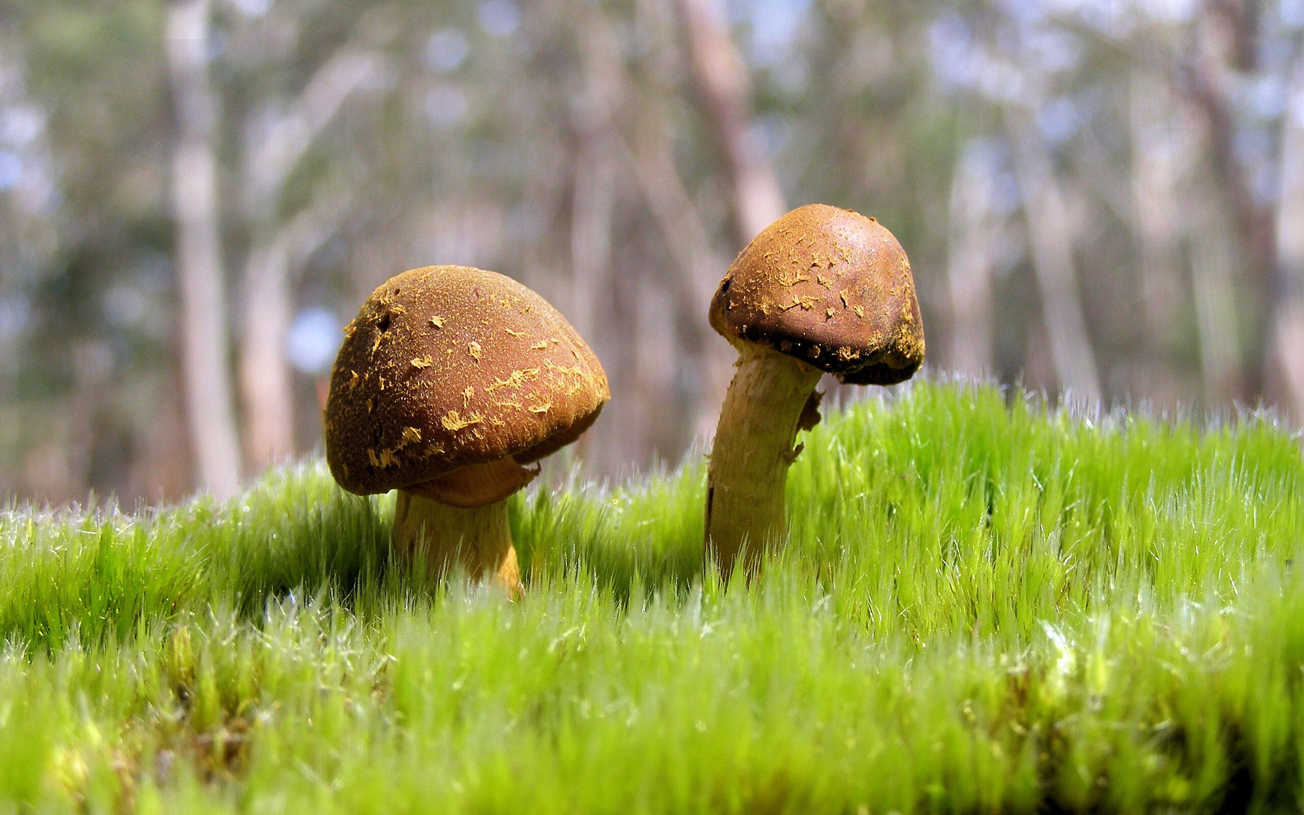 九游体育app下载-比赛中如何通过节奏变化带动士气，详述什么是比赛节奏