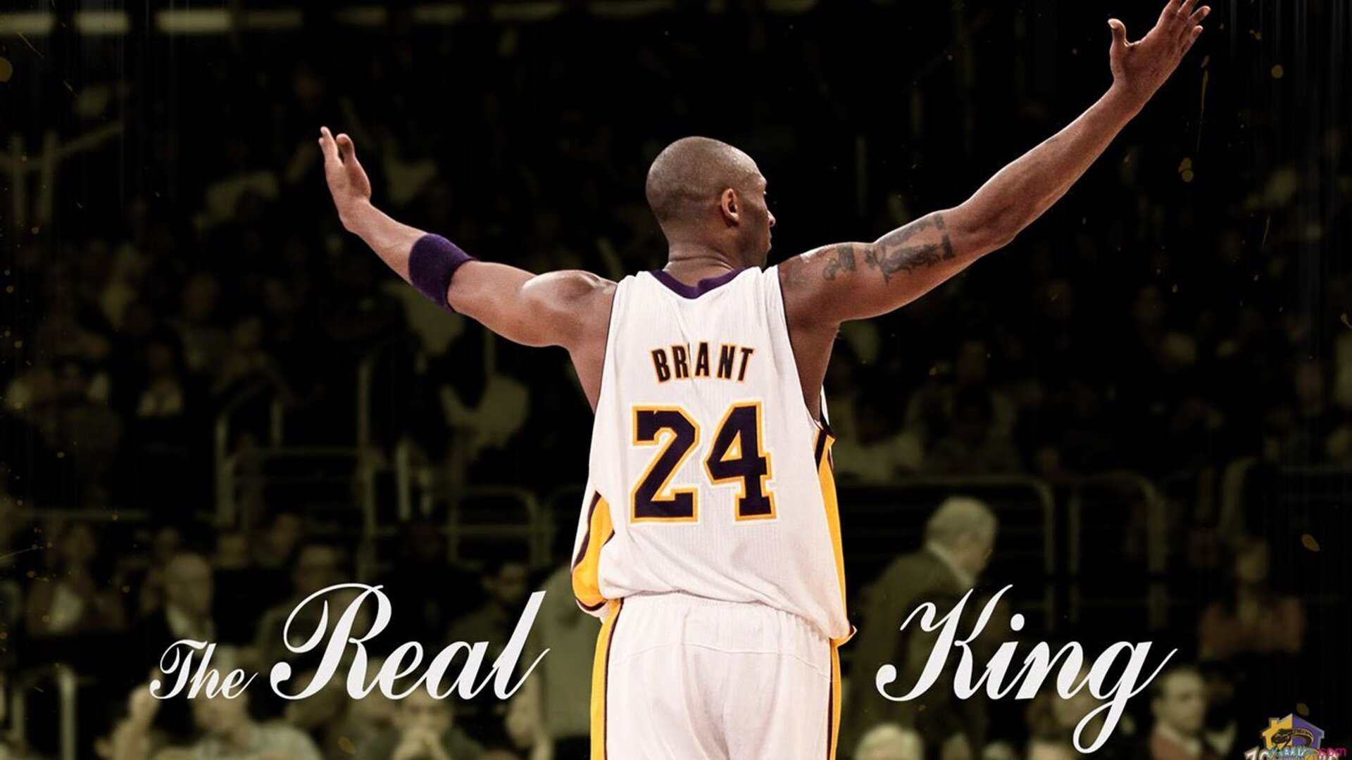 统计数据：投篮命中率达46%，助攻22次稳扎稳打！，投篮的命中率